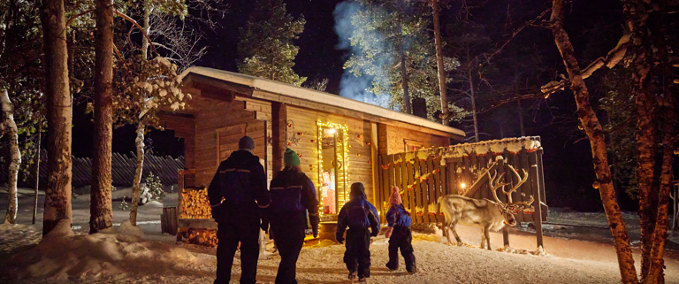 starry night over the Lapland forest